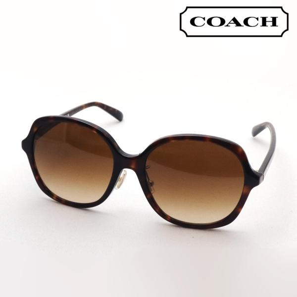 COACH コーチ サングラス HC8360F 512074 バタフライ : グラス