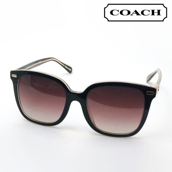 COACH（コーチ） サングラス COACH HC8381F 5781E2 スクエア ブラック