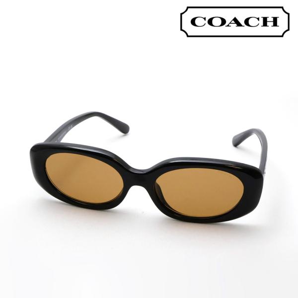 COACH（コーチ） サングラス NewModel COACH HC8443D 500273 54