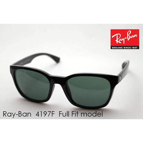 Ray-Ban レイバン サングラス プレミア生産終了モデル RB4197F