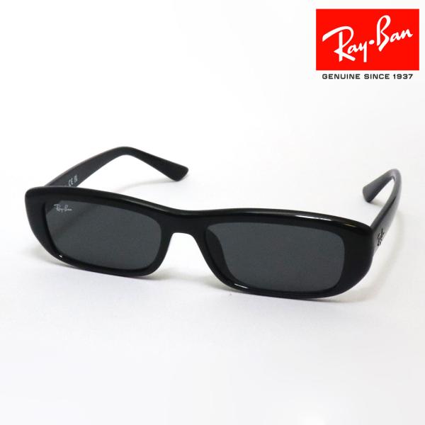 Ray-Ban レイバン サングラス NewModel RB4436D 667787 55サイズ