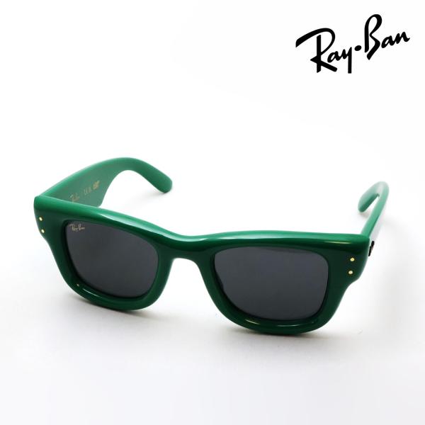 Ray-Ban（レイバン） サングラス プレミア生産終了モデル Ray-Ban