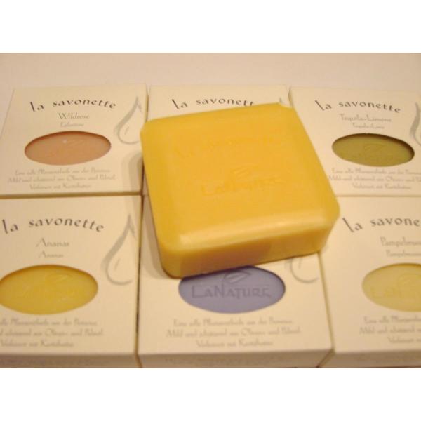 Ei`[\[v100g IWEO[vt[c