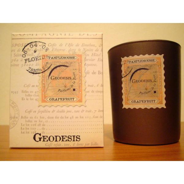 WIWFfBX (GEODESIS) ^bNOXLh220g O[vt[c