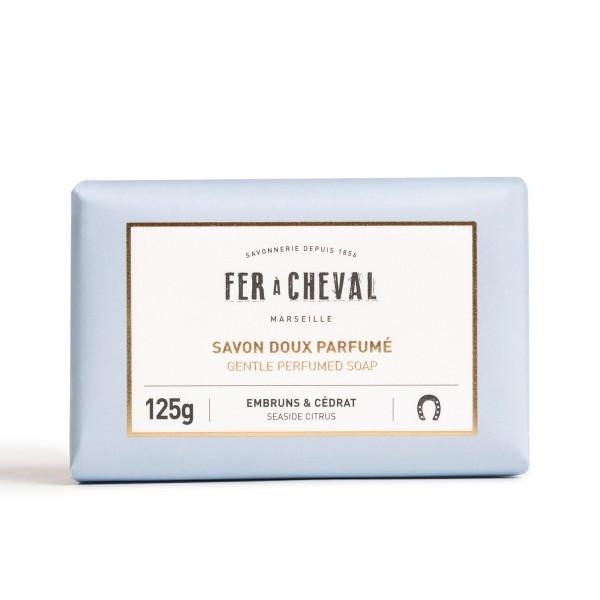 iFER A CHEVALjtOX\[v125g V[TChVgXiXC[gA[hICjitF[V@j