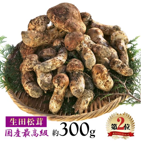 松茸　北海道　300g ②　国産 ◇北海道産松茸◇300g ②