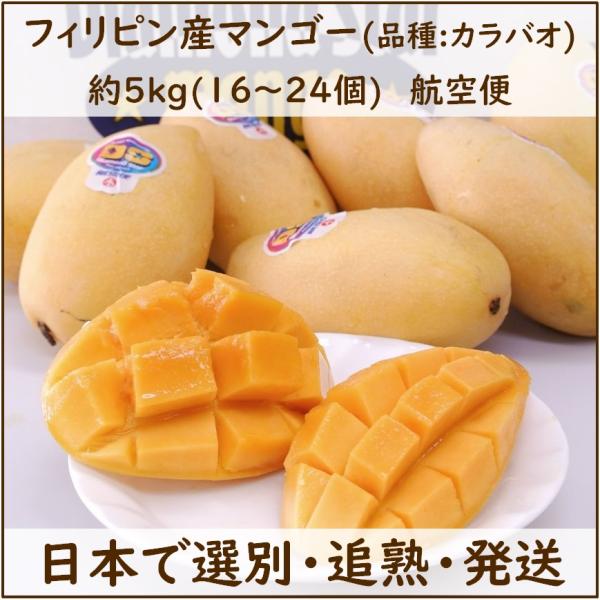 globalfruit_0505-0-20