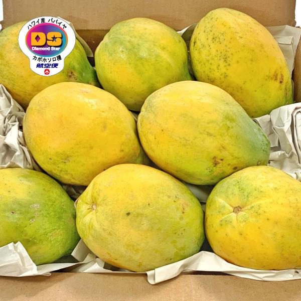 【産地】ハワイ【重量】1箱 約4.5kg前後(箱の重量除く)【品種】カポホソロ【取り扱い期間】通年【梱包箱】入荷時の原箱【備考】入荷状況により7個から10個入りのいずれかになります。