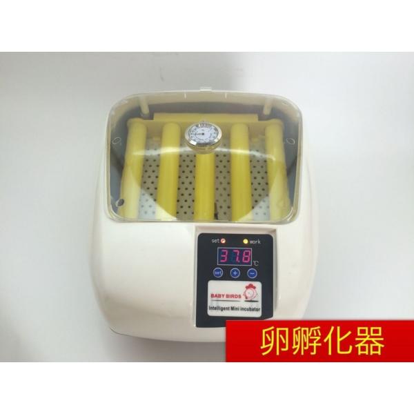 globatt-ej_k-087c