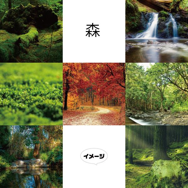 水槽用バックスクリーン 日本の風景 水槽用バックスクリーン 森 : 神楽グッズ専門店神楽傳 - 通販