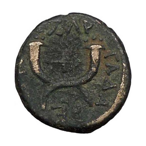 ティトゥス（カエサル）73年 デカポリスのガダラ ギリシャ都市 ローマ時代のコイン 希少品 i52774