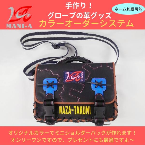 【未使用】 TITLE Throwback アニバーサリー・バッグ・グローブ gloveya-mikuni_mkomaniamsco