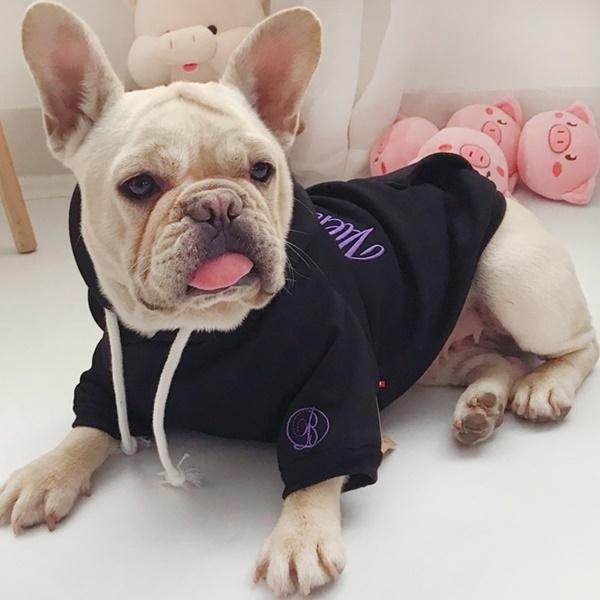 @L@Ƃ@낢@@t[TCY@ubN@Zbg@p[J[@t[ht@΍@U@