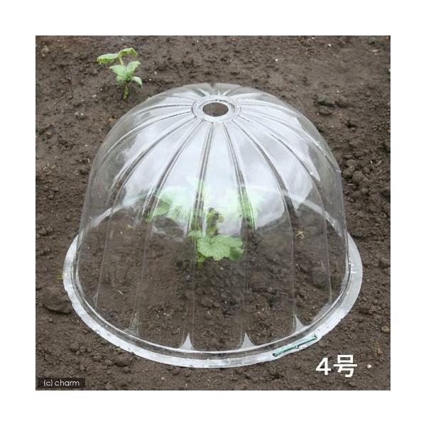 ホットキャップ