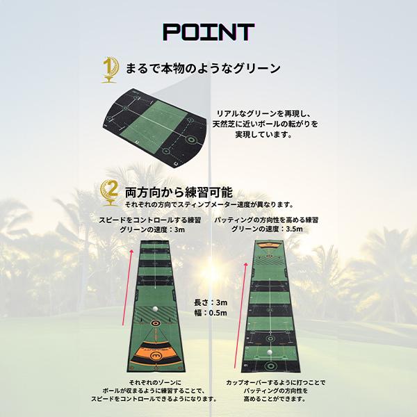 glv_wpt-91_3_d_20241130151037