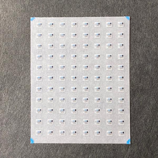 世田谷総合車両センター ドア表記インレタ(1/80スケールε)挟まれ防止