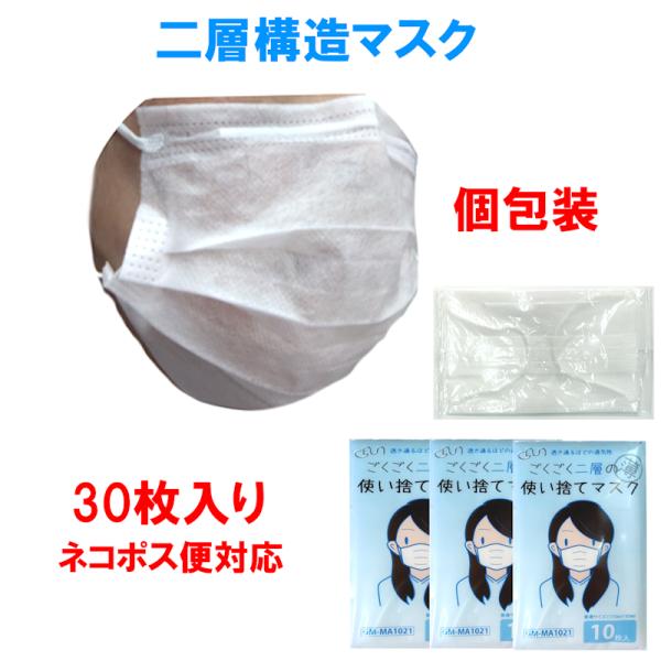 個包装　二層マスク　30枚　工場　作業用　息がしやすい　使い切り　使い捨て　飛沫を飛ばさない　