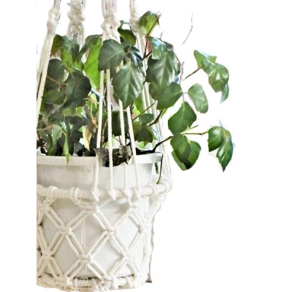 ハンギング プランター 屋外 鉢の人気商品 通販 価格比較 価格 Com