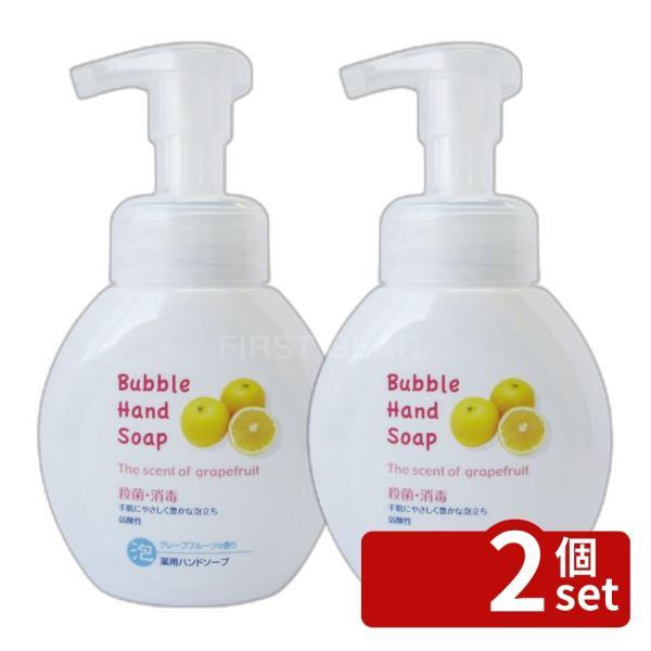 第一石鹸 薬用 泡ハンドソープ 本体 250mL×2個