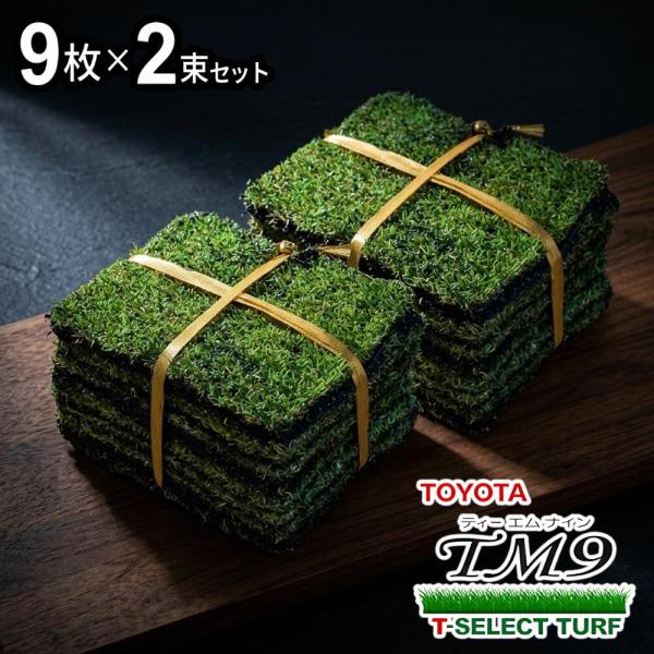 2平米用 普通便】芝生 TM-9ティーエムナイン 2平米用 1ケース(2束)1束9枚入り 省管理型コウライシバ トヨタ