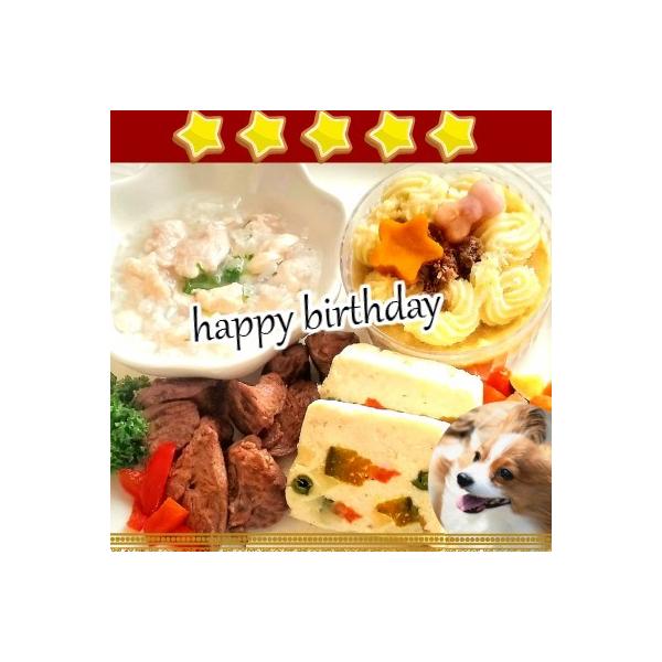 犬用手作り食 愛犬用誕生日や特別な日のお祝いや