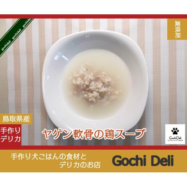 犬 手作り食 ごはん 無添加 ドッグフード ギフト 誕生日 ケーキ おやつ 老犬 トッピング ヤゲン軟骨の鶏スープ Ck 15 手作り派犬ごはんの専門店ごちでり 通販 Yahoo ショッピング