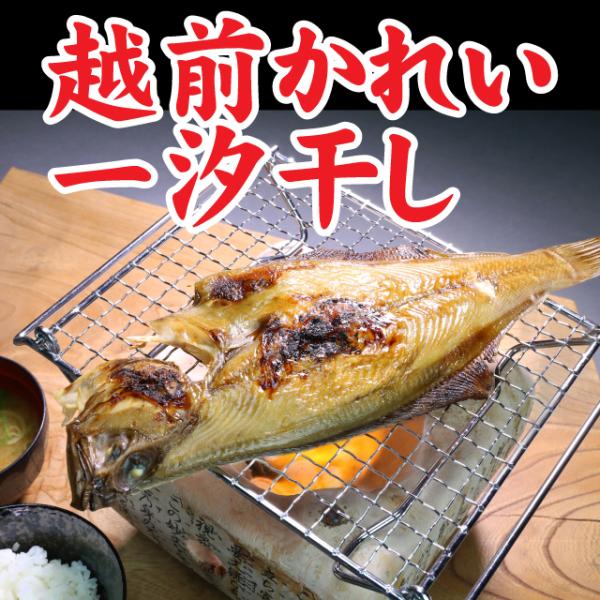 越前かれい一汐干し1枚【冷蔵】