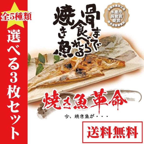 骨まで食べられる焼き魚 5種類から選べる3枚セット 骨まで 干物 Buyee Buyee Japanischer Proxy Service Kaufen Sie Aus Japan
