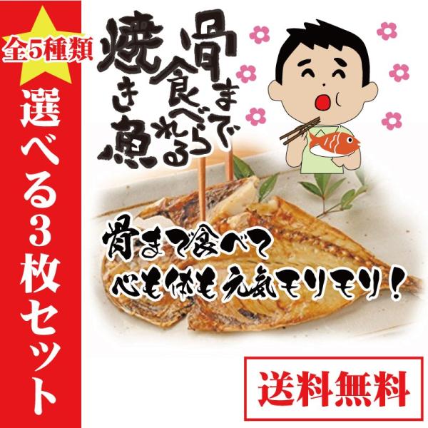 骨まで食べられる焼き魚 5種類から選べる3枚セット 骨まで 干物 Buyee Buyee Japanischer Proxy Service Kaufen Sie Aus Japan