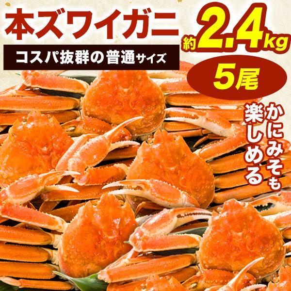 お値引きクーポン配布中 普通5尾 約2.4kg ボイルズワイガニ姿 普通サイズ ズワイガニ ずわいがに 蟹  カニ ボイルズワイ ボイルずわい みそ 送料無料