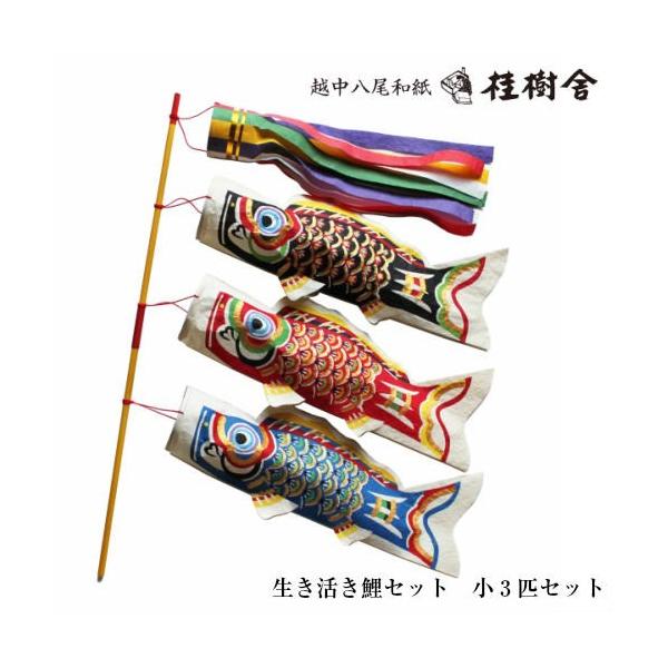 j p ̂ڂZbg 3CZbg 069 {̐Sz̘a