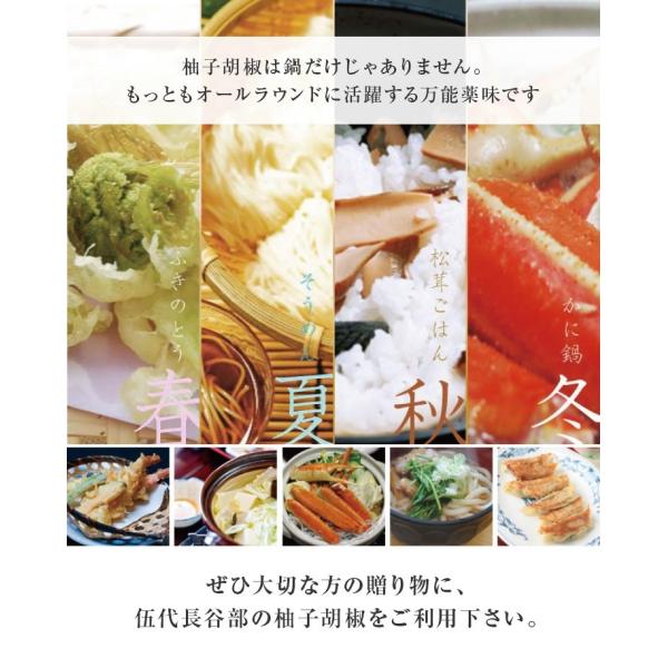 柚子胡椒手作り送料無料和風総本家出演の九州大分 福岡産本格派 Buyee Buyee 提供一站式最全面最專業現地yahoo Japan拍賣代bid代拍代購服務