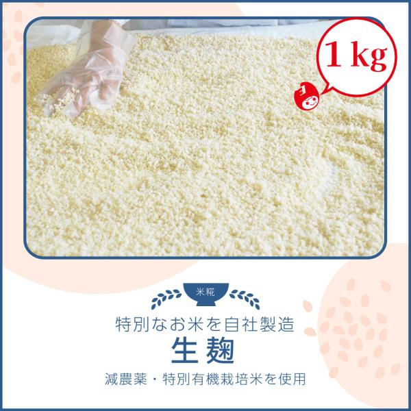 吉田米屋の甘酒に欠かせない麹。より美味しい甘酒を造るため、厳選した米と麹菌を使っております。塩麹や甘酒、味噌など使い方いろいろ☆生の麹を使って腸活しましょう！※麹は菌の種類によって変化いたします。白度や糖度に大きく影響いたします。基本的に真...