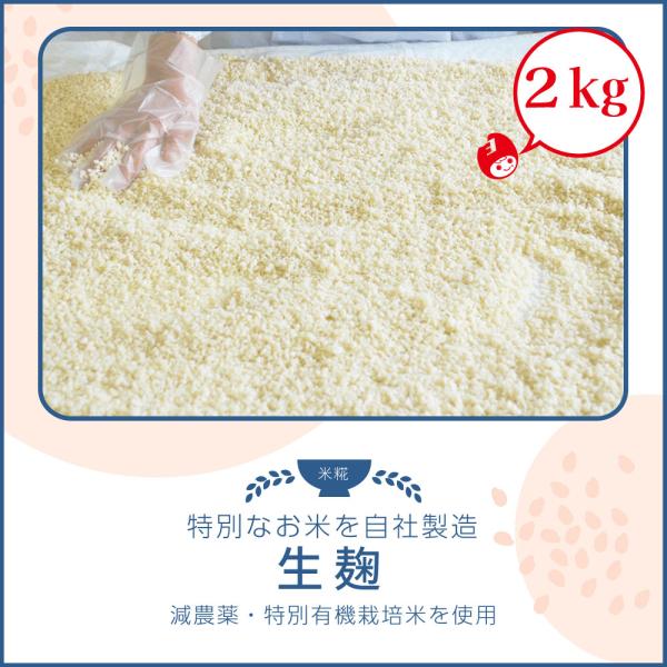 吉田米屋の甘酒に欠かせない麹。より美味しい甘酒を造るため、厳選した米と麹菌を使っております。塩麹や甘酒、味噌など使い方いろいろ☆生の麹を使って腸活しましょう！※麹は菌の種類によって変化いたします。白度や糖度に大きく影響いたします。基本的に真...