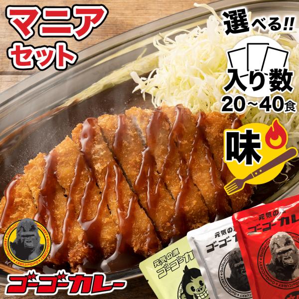 レトセトラ レトルト カレー　20個セット gogo-curry_9048