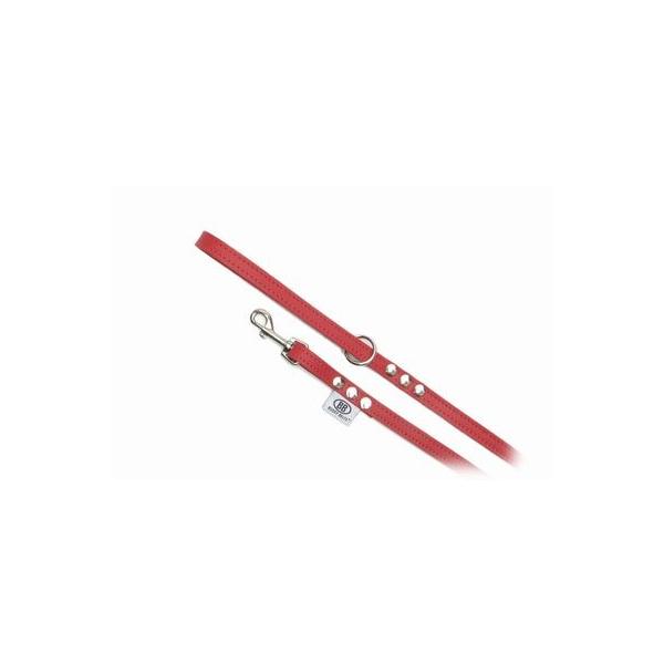 美品バディーベルト&レザーリードセット Buddy Belt/バディベルト・マッチング・本革リード : ゴーゴードッグス