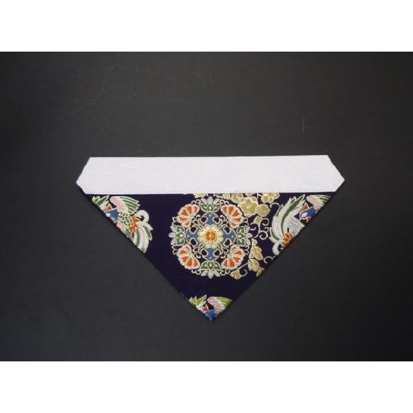 Opŕ~iE̕zj@50 @@nсi2j