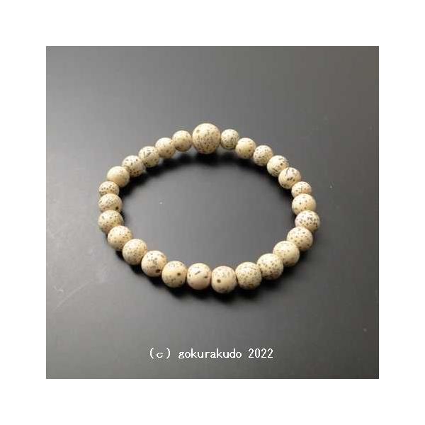 主玉直径：約7.5mm(腹部分)親玉直径：約11.5mm(腹部分)内径：約16.5cm（手首周り）備考：紙箱入り星月菩提樹のみで仕立てた数珠ブレスです。小さな点が星のようだということで、このような風流な名前が付いたといわれています。黒い背景...