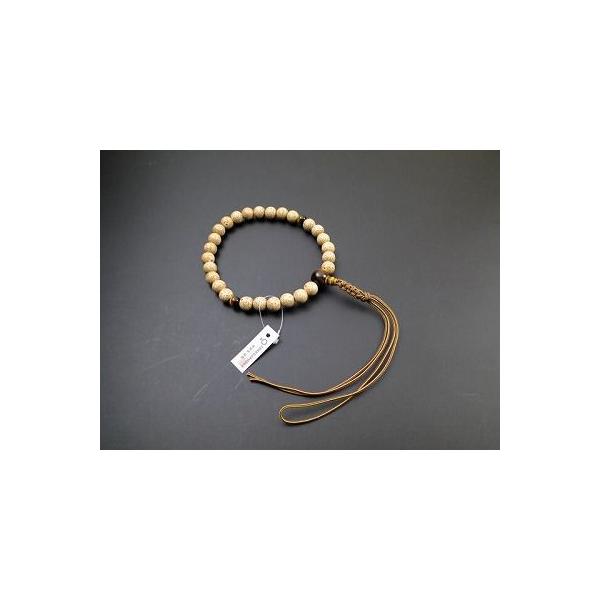  jp 27 ieEQVE{TjՖڐΓ R[@