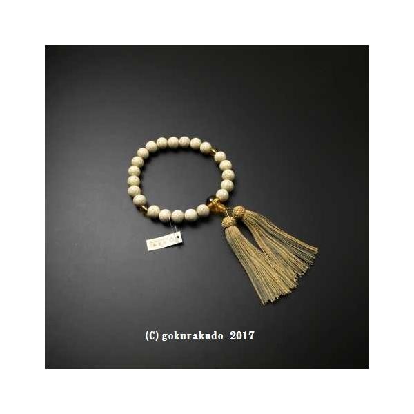  jp  ʁi܁j22 eEQVEڂ t[