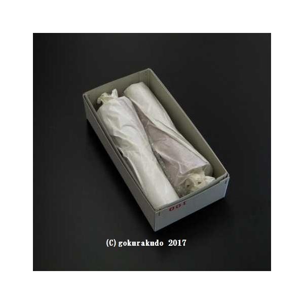 aXCi[\Nj@^@100ԁ@Pi2{j