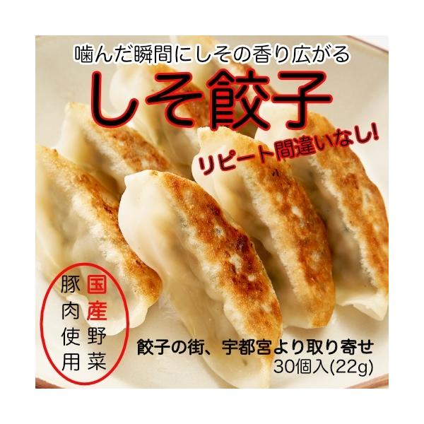 [Release date: August 4, 2021]餃子の街、宇都宮よりお取り寄せ！しその風味がたまらない！！あっさりしているので何個でも食べられます。暑い夏にぜひ一度食べていただきたい逸品です。美味しい餃子の秘密は一切の妥協を許さ...