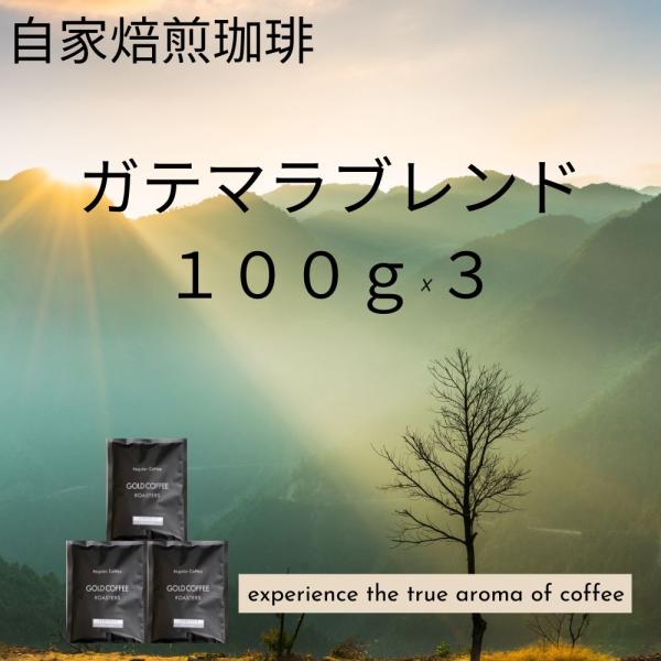 全国送料無料 コーヒー コーヒー豆 コーヒー粉 30杯 お試し 小分け ガテマラブレンド 100g×3 300g ポスト投函 ゴールド珈琲 おいしい drip coffee 爽やか
