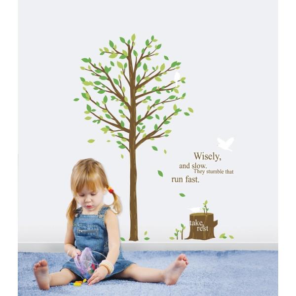 EH[XebJ[ O[c[ V[ k  } t c[ A ʔ