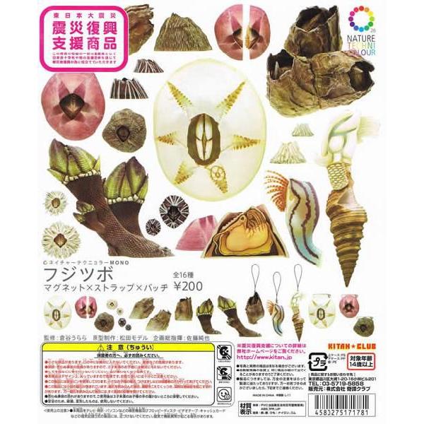 カプセル 奇譚クラブ ネイチャーテクニカラーMONO フジツボ 全