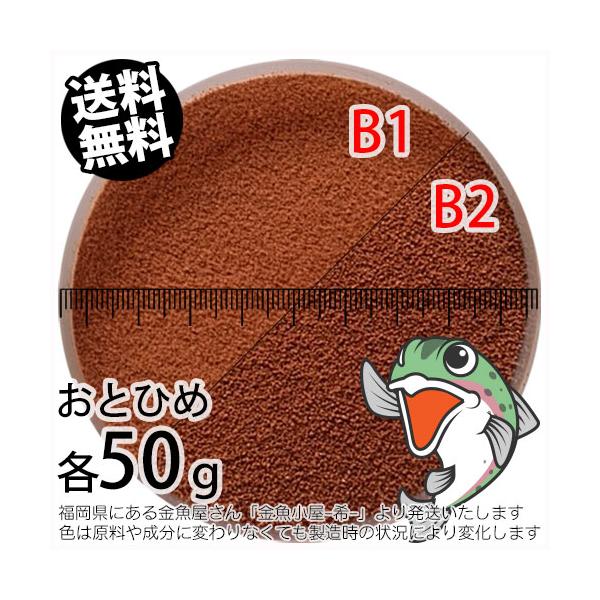 沈降性(沈下性)お試し日清丸紅飼料おとひめB1(0.2~0.36mm)とB2(0.36