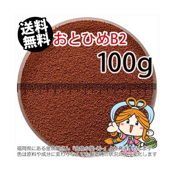 送料無料 メール便n 日清丸紅飼料おとひめb2 0 36 0 62mm 100g 沈降性 メダカのごはん 稚魚の餌 グッピーのエサ 金魚小屋 希 福岡 Buyee Buyee Japanese Proxy Service Buy From Japan Bot Online