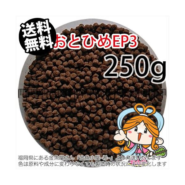 goldfish-ki_otohime-ep3-00250