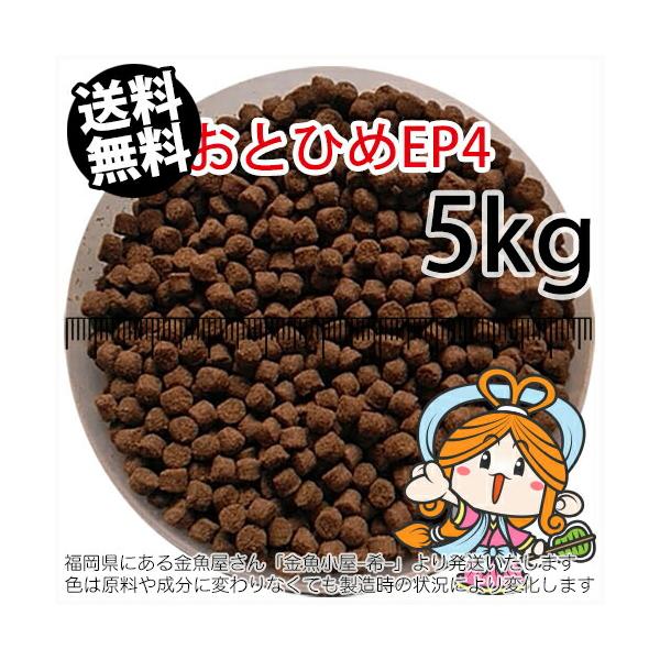 送料無料 900円 みんな探してる人気モノ 送料無料 900円