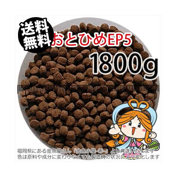 沈降性(沈下性)日清丸紅飼料おとひめEP5(5.1〜4.3mm)1800g小分け 沈降性(沈下性)日清丸紅飼料おとひめEP5(5.1〜4.3mm)1800g小分け
